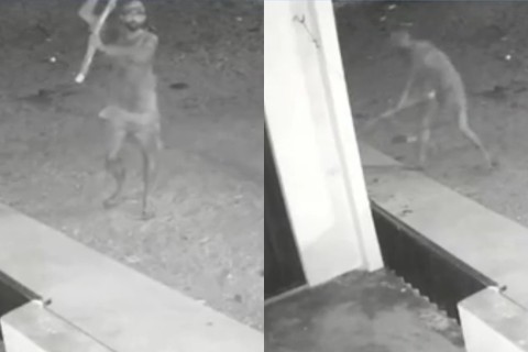 Polícia procura homem que matou cachorro a pauladas no interior do Ceará