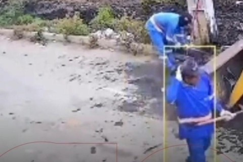 Enxame de abelhas ataca cortejo fúnebre e assusta moradores durante velório