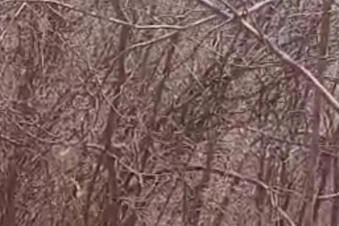 Homem é encontrado sem vida na cidade de Quixelô no Ceará