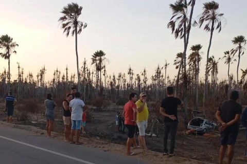 Carro capota diversas vezes e atinge carnaúba na CE-356, em Russas; passageiro morre no local