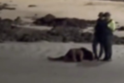 Casal faz sexo na areia da Beira Mar de Fortaleza, e policiais interrompem o ato