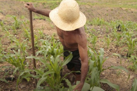 Lula sanciona lei que amplia acesso de agricultores familiares ao Garantia-Safra