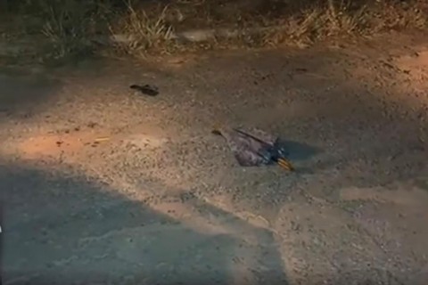 Mulher é encontrada morta no Ceará