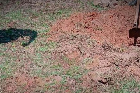 Corpo de mulher é achado sem cabeça em viva rasa no interior do Ceará