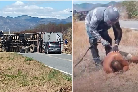 Ataque de abelhas faz motorista perder o controle, bater em poste e tombar caminhão em rodovia no Ceará