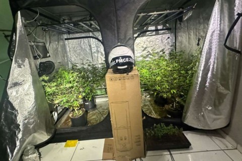 Polícia fecha laboratório clandestino de maconha montado em apartamento em Fortaleza-CE