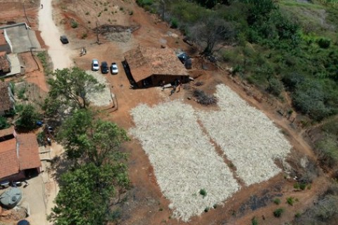 Após 13 anos, engenho de cana-de-açúcar volta a funcionar em Cedro, no Ceará