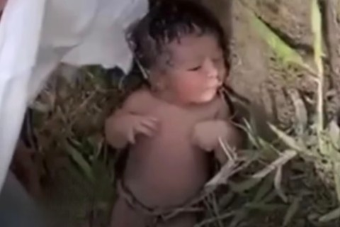 Bebê recém-nascida é encontrada abandonada