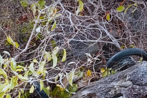 Homem é encontrado morto em rodovia que liga Quixeramobim-CE ao Encantado no Ceará