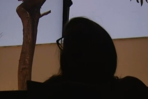 Professor é afastado após denúncia de envio de nudes e mensagens eróticas para aluna