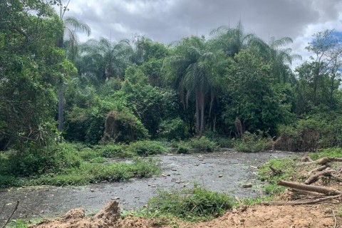 Moradores denunciam frigorífico por causar poluição no rio Salgadinho, em Juazeiro do Norte-CE