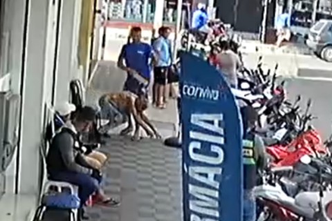 Polícia procura homem que agrediu idosa com paulada sem motivo aparente