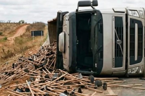 Cena inusitada viraliza nas redes sociais e chama atenção pela atitude exemplar